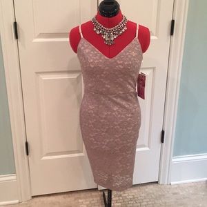 Blush with Gray Lace Dress